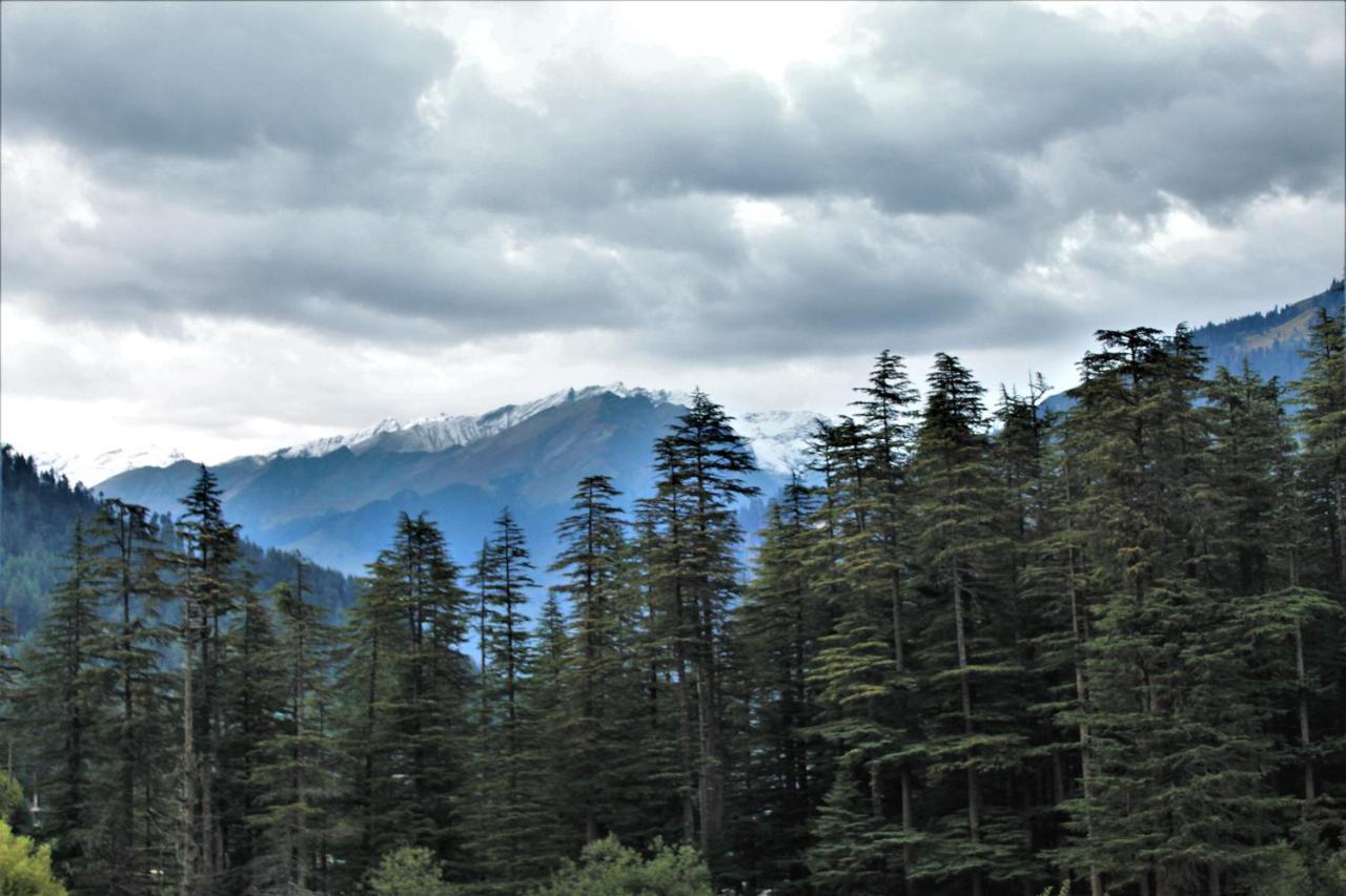 Nirvana Hills Manāli Dış mekan fotoğraf
